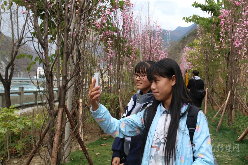 春光俏！“醉”是瀘定春三月，踏青賞花正當時