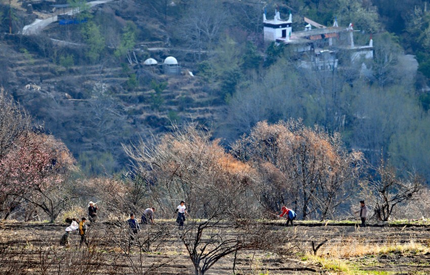 鉚足“?！眲鸥髅? onload=