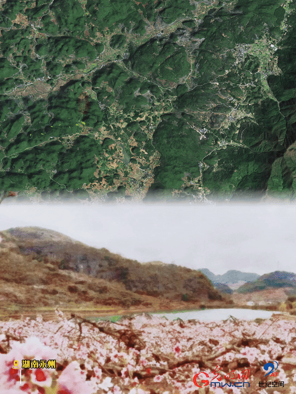 清明游玩賞花圖鑒來(lái)了！衛(wèi)星鏡頭帶你先睹為快