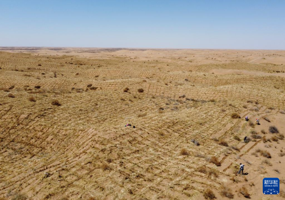 2024年4月10日，群眾在古浪縣八步沙林場麻黃塘沙區(qū)用草方格壓沙。新華社發(fā)（無人機(jī)照片）